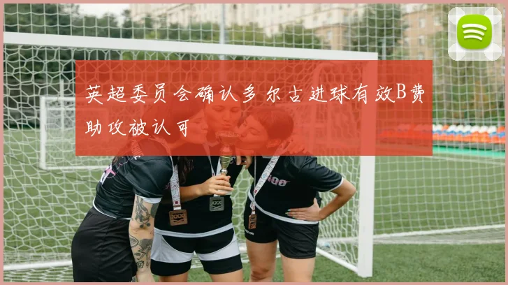 英超委员会确认多尔古进球有效B费助攻被认可