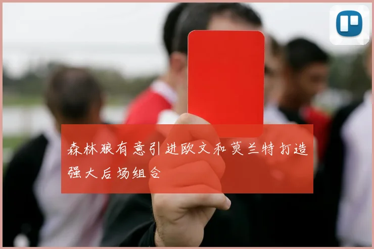 森林狼有意引进欧文和莫兰特打造强大后场组合
